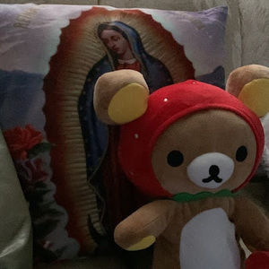 Meet your Posher, Vzv